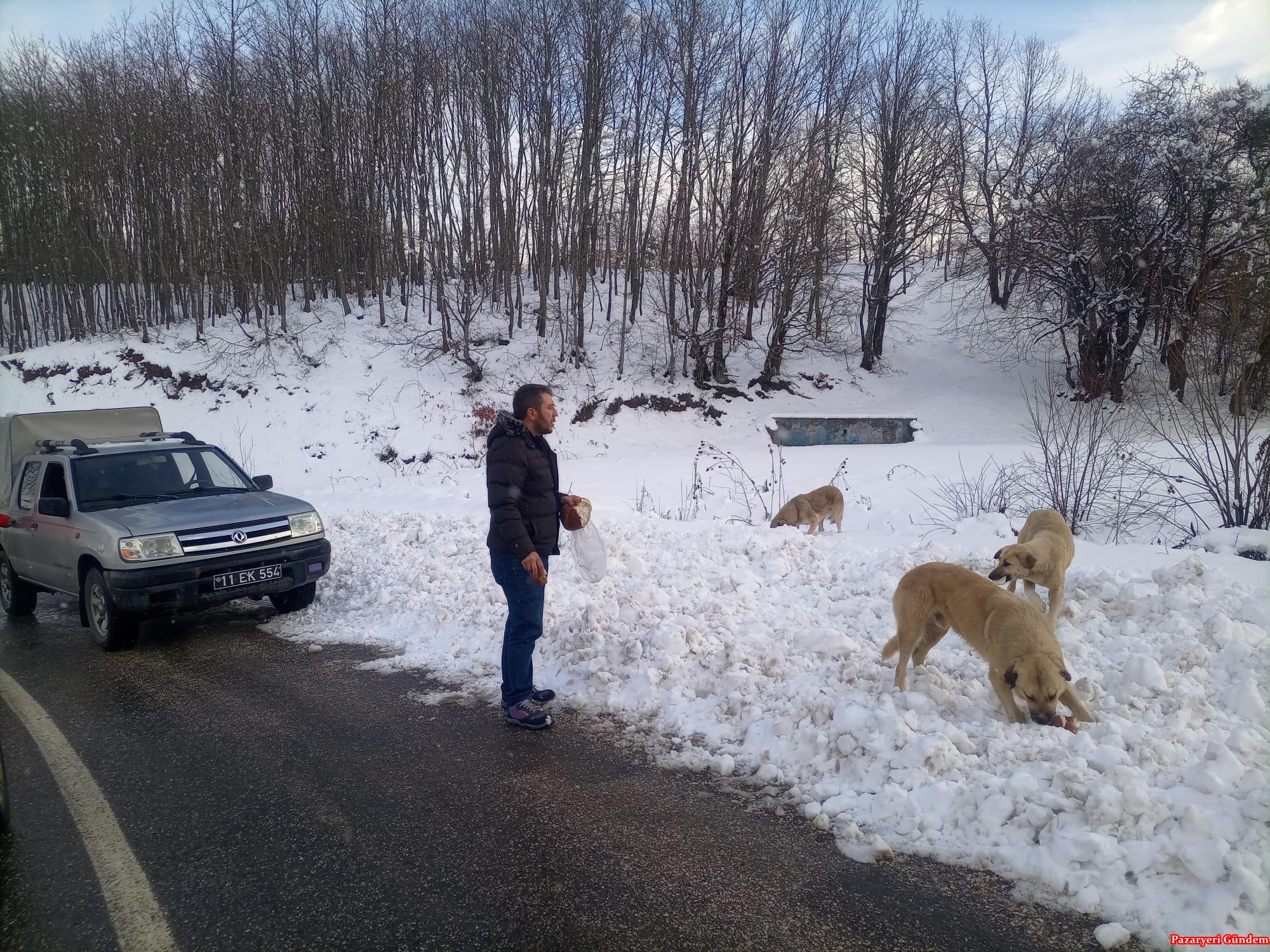 Pazaryeri’nde -10 derecede sokak hayvanlarına belediye şevkati