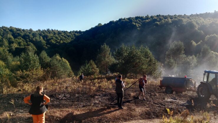 Pazaryeri Bozcaarmut’ta Orman Yangını Büyümeden Söndürüldü