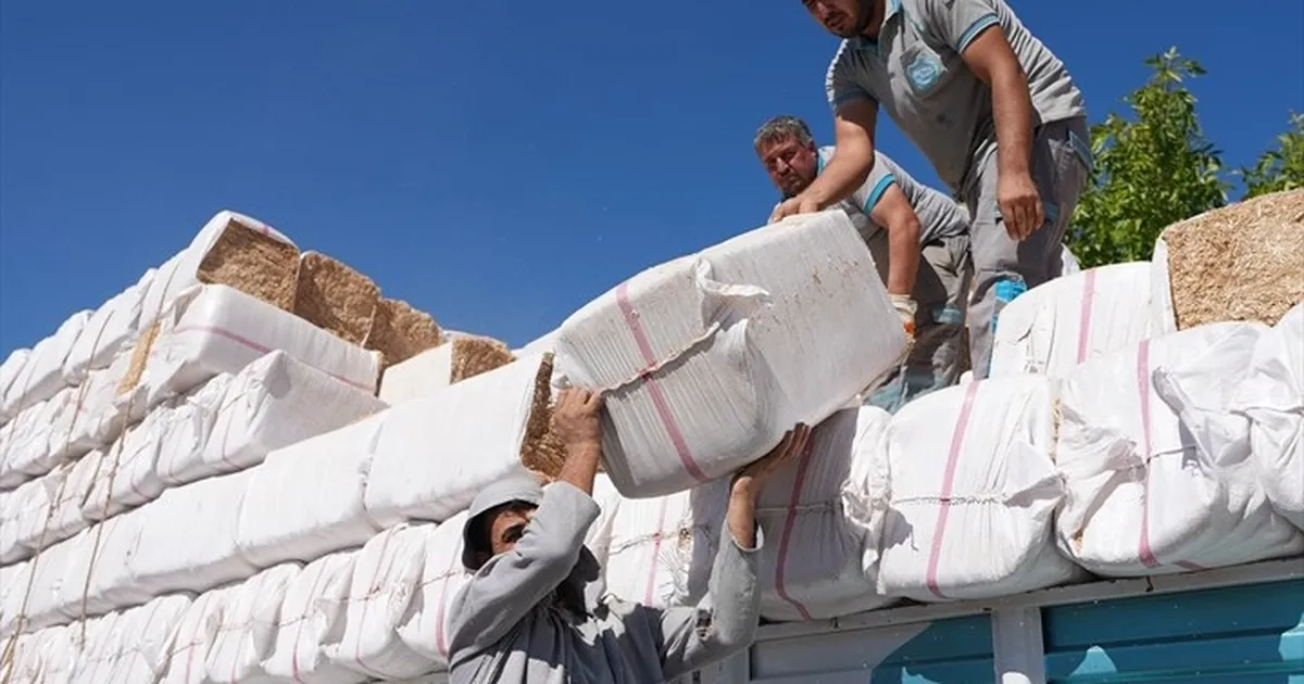 Denizli’de yangınzedelere yem ve saman desteği